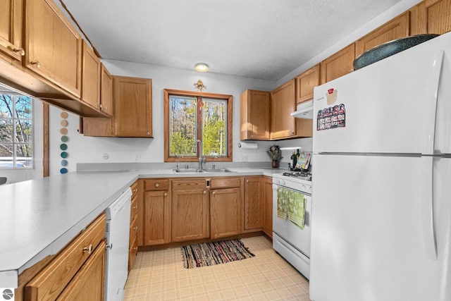 kitchen featuring white appliances, light floors, light countertops, under cabinet range hood, and a sink