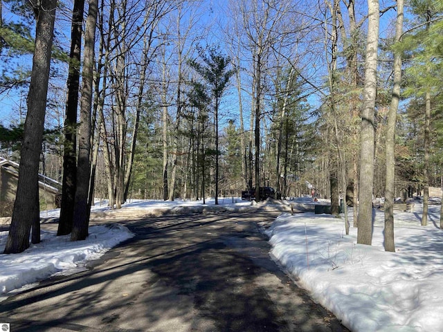 view of street featuring a forest view