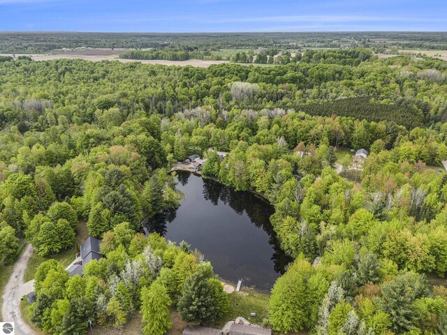 4891 Fell Dr, Marion, MI 49665 - drone / aerial view of a large body of water and a heavily wooded area