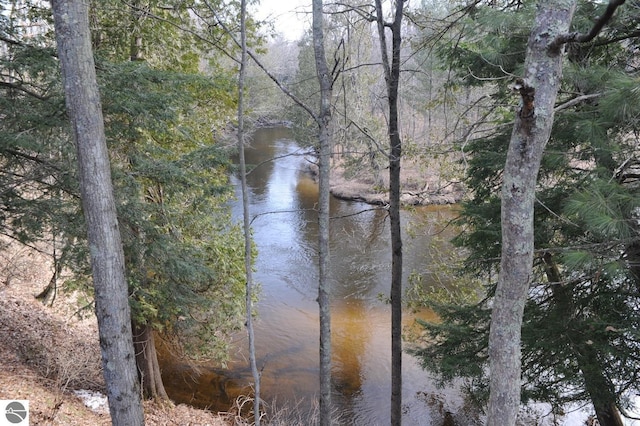 water view featuring a wooded view