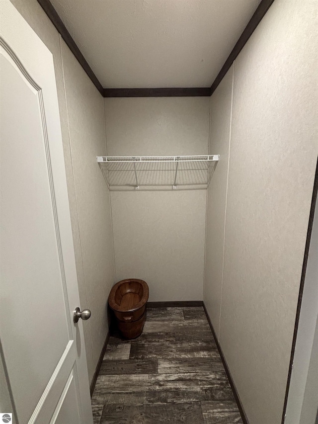 spacious closet featuring wood finished floors