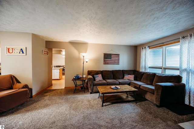 carpeted living room with baseboards and a textured ceiling