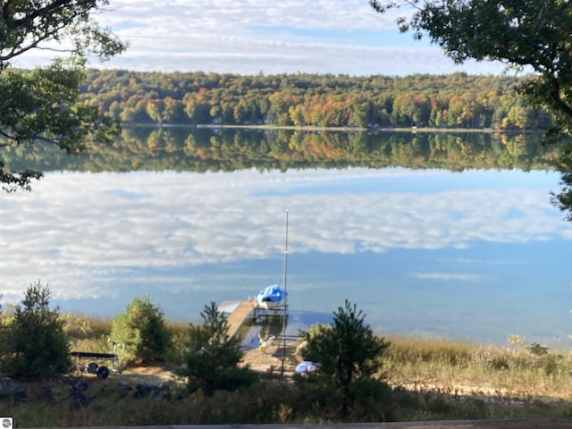 view of water feature with a boat dock and a forest view