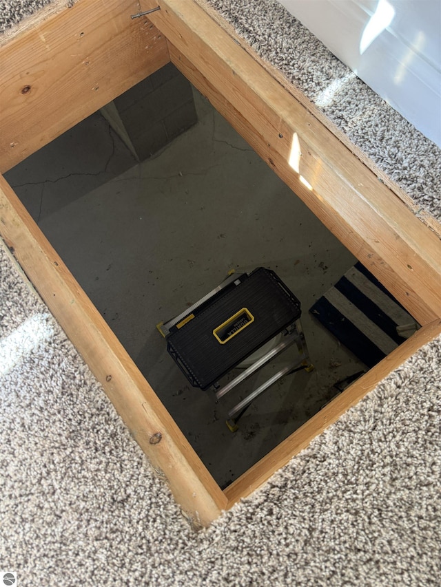 view of storm shelter