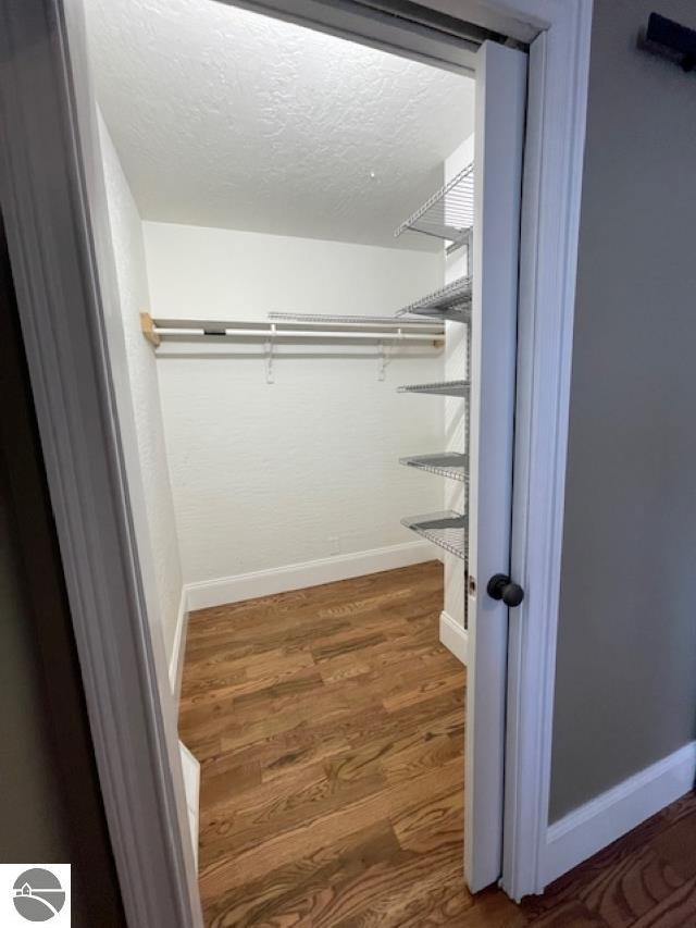 spacious closet featuring wood finished floors