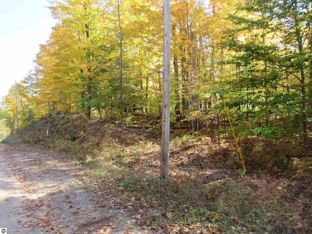 00 Jeri Rd, Interlochen MI, 49643 land for sale