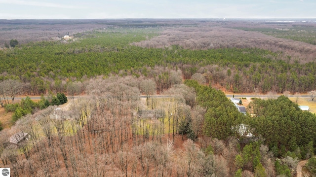 bird's eye view with a view of trees