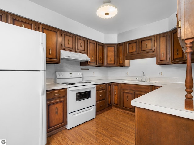 kitchen with under cabinet range hood, light countertops, light wood-type flooring, white appliances, and a sink