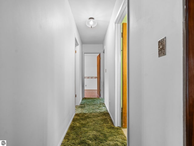 hallway with carpet