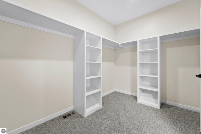 walk in closet featuring carpet and visible vents