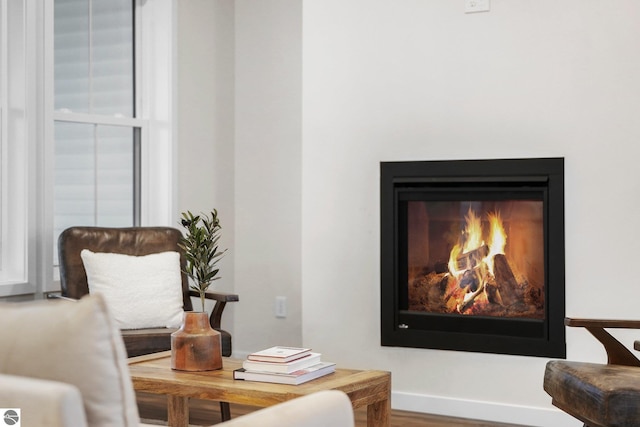 living area with baseboards and a glass covered fireplace