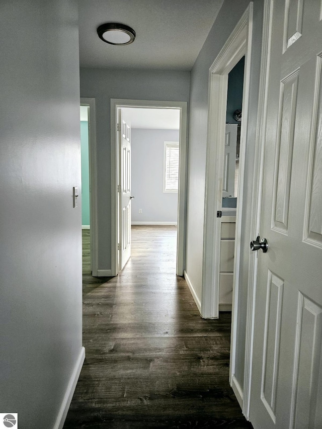 hallway featuring baseboards and dark wood-style flooring