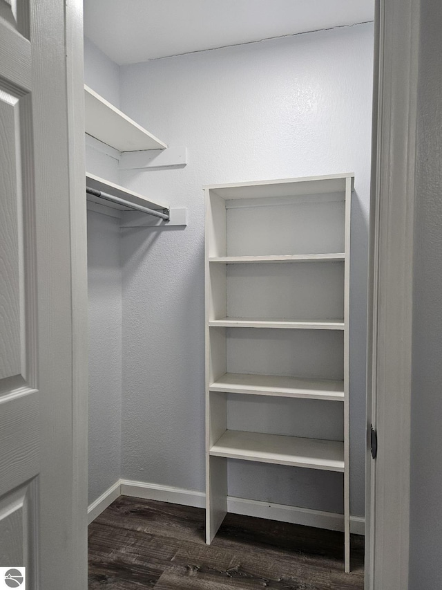 spacious closet with dark wood finished floors