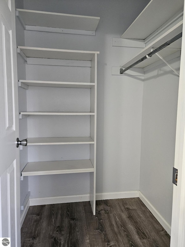 walk in closet with wood finished floors