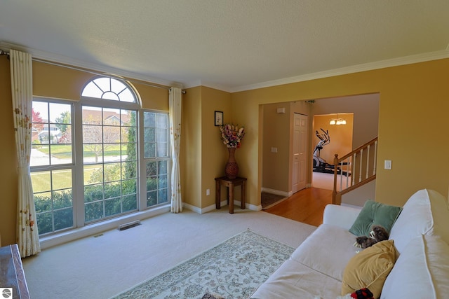 living area featuring crown molding, baseboards, stairs, carpet flooring, and a textured ceiling