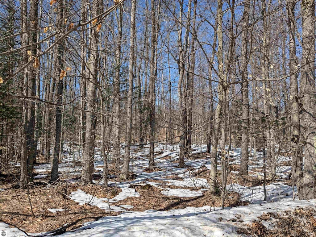 00 Number One Rd, Copemish, MI 49625
