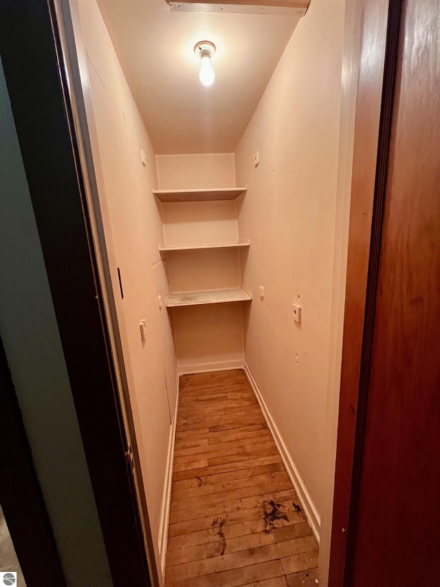 spacious closet featuring wood-type flooring