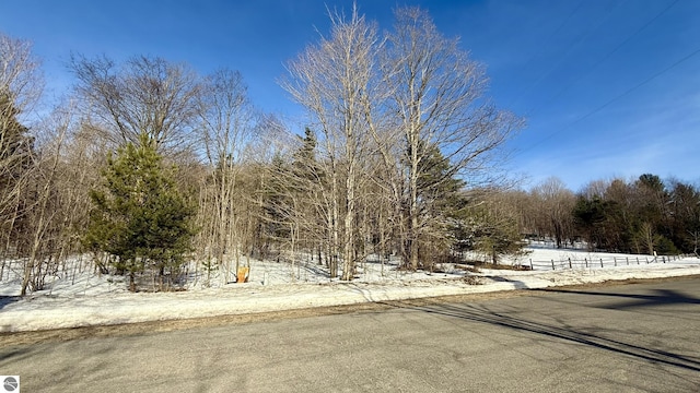 Listing photo 2 for LOT202 Clearview Dr, Bellaire MI 49615