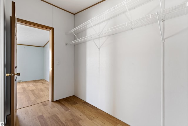 spacious closet featuring light wood-type flooring