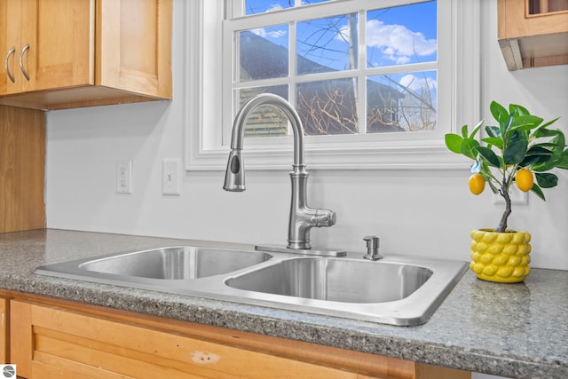 room details with a sink