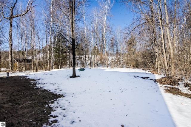 yard covered in snow featuring a view of trees