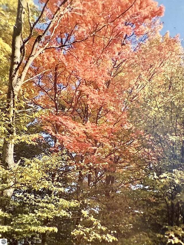 view of landscape featuring a forest view