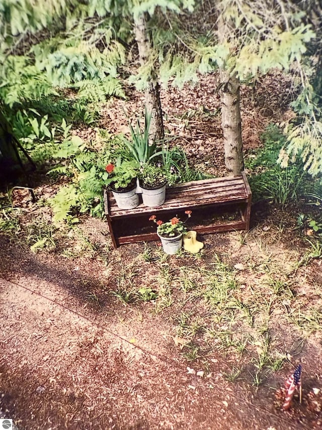 view of yard featuring a vegetable garden