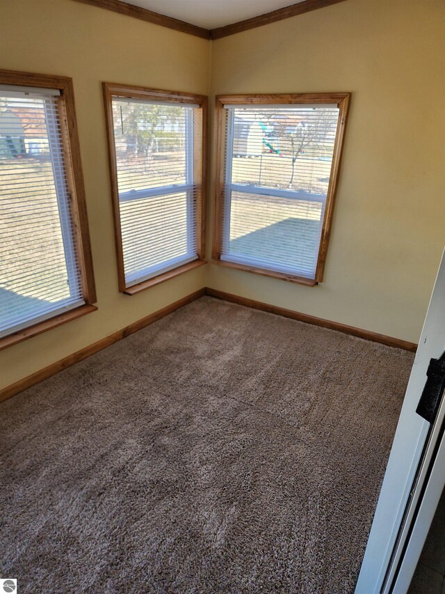 carpeted spare room featuring baseboards and ornamental molding