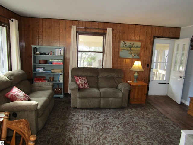 living area with wooden walls and wood finished floors