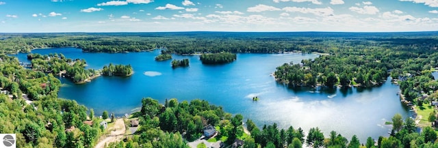 aerial view featuring a forest view and a water view