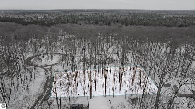 Listing photo 3 for LOT830 Mohican Trl, Gaylord MI 49735