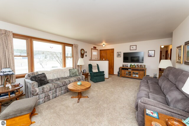 living area featuring carpet floors