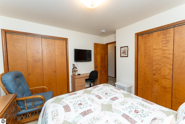 bedroom featuring multiple closets