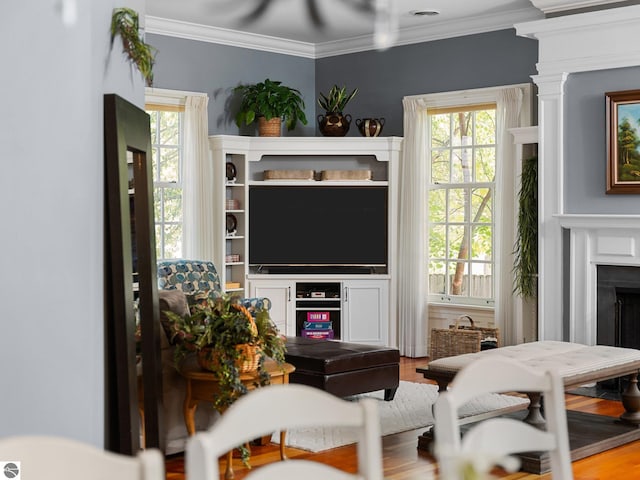 living room with crown molding, wood finished floors, a fireplace, and a healthy amount of sunlight