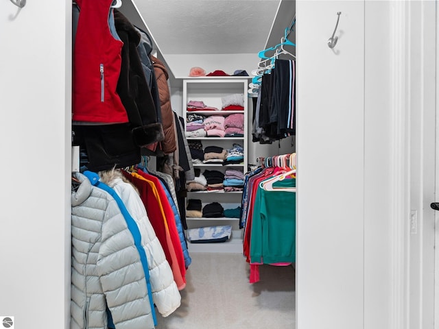 spacious closet featuring carpet flooring