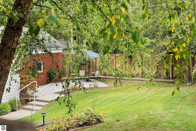 view of yard featuring a patio and fence