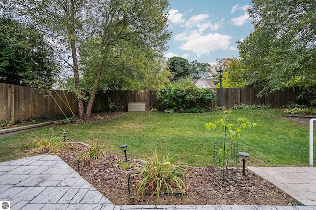 view of yard with a patio and a fenced backyard