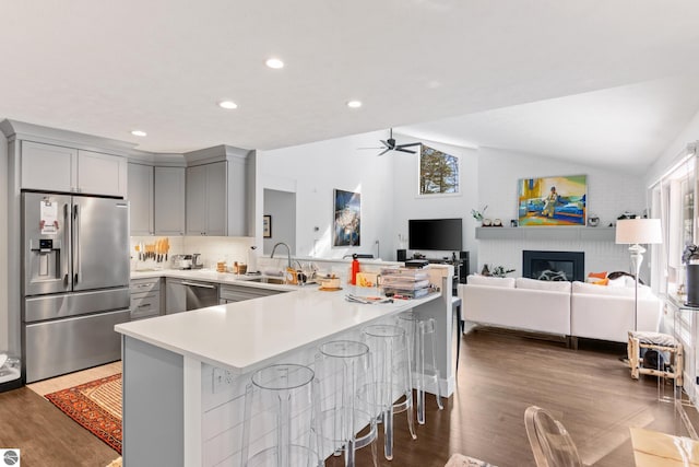 kitchen with a sink, a peninsula, gray cabinets, and stainless steel appliances