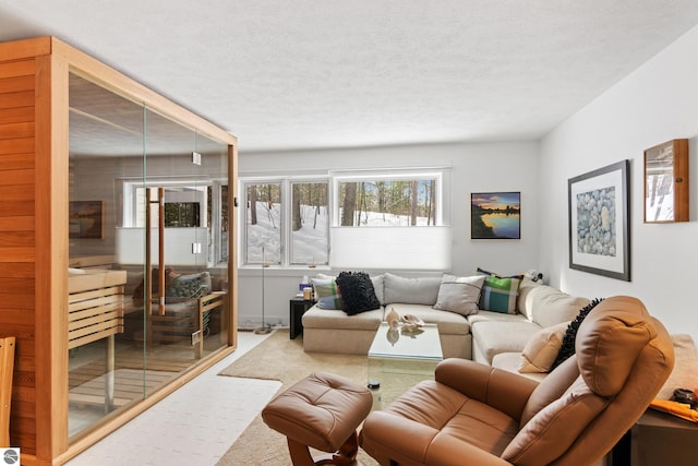 carpeted living area with a textured ceiling