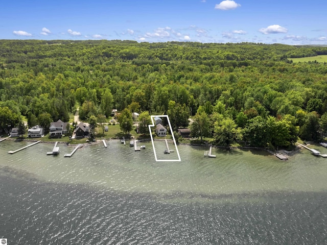 birds eye view of property with a forest view and a water view