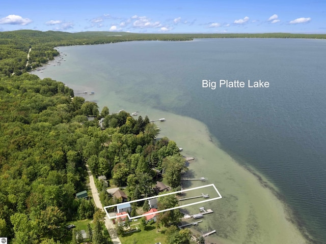 birds eye view of property featuring a view of trees and a water view