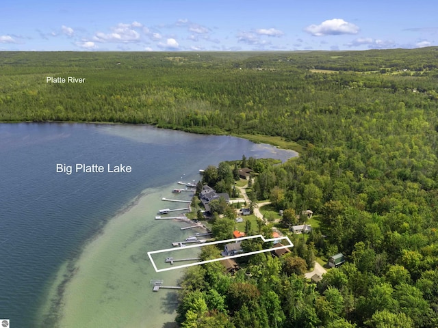 aerial view featuring a view of trees and a water view