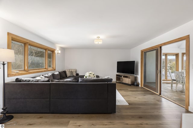 living area featuring wood finished floors