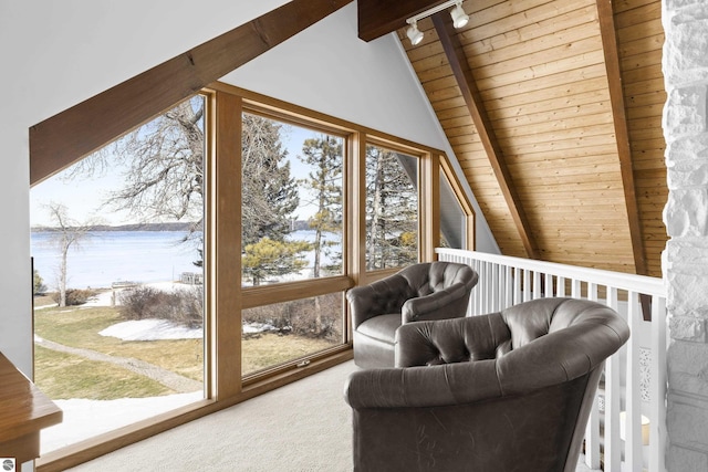 interior space with rail lighting, lofted ceiling with beams, carpet flooring, and wooden ceiling