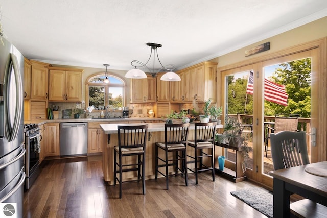 kitchen featuring a sink, light countertops, dark wood-style floors, and stainless steel appliances