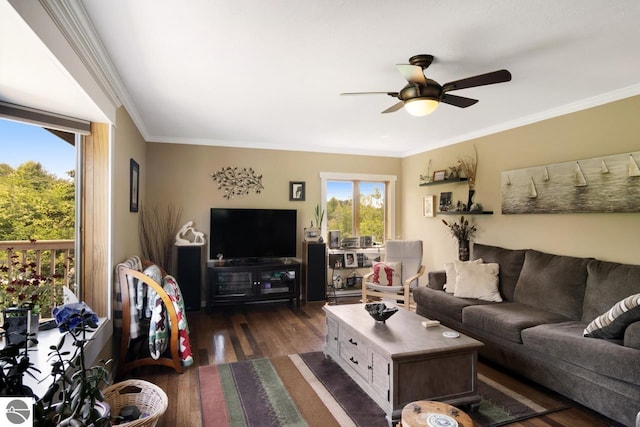 living area featuring a ceiling fan, dark wood-type flooring, and crown molding