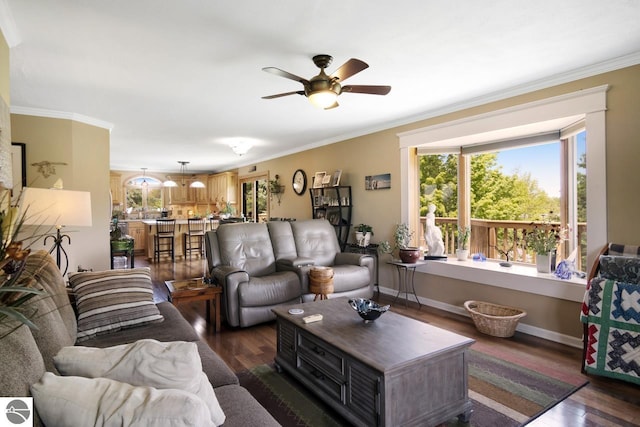 living area with dark wood-type flooring, baseboards, and ornamental molding