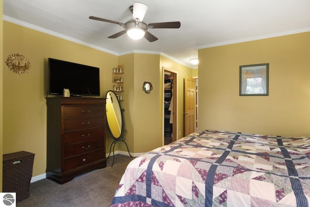 bedroom featuring a walk in closet, ceiling fan, baseboards, crown molding, and carpet