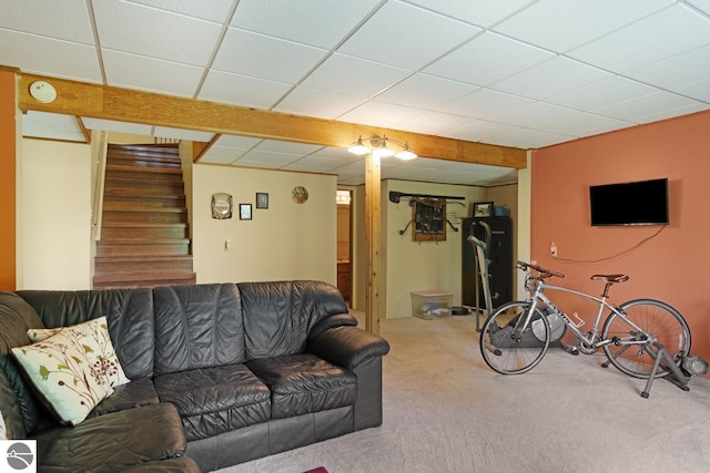 living area featuring stairs, a drop ceiling, and carpet floors