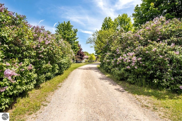 view of street featuring dirt driveway